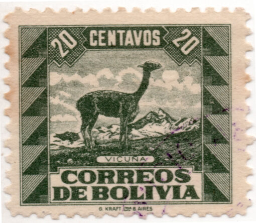 Bolivia 227