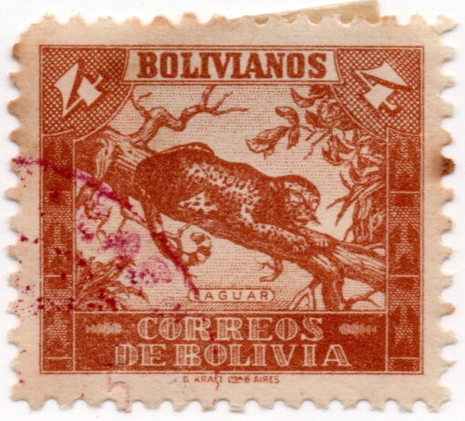 Bolivia 238