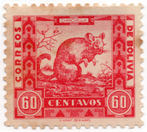 Bolivia 332