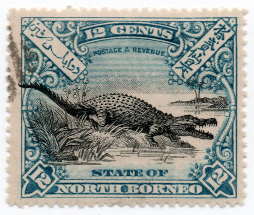 1897 - Crocodylus porosus